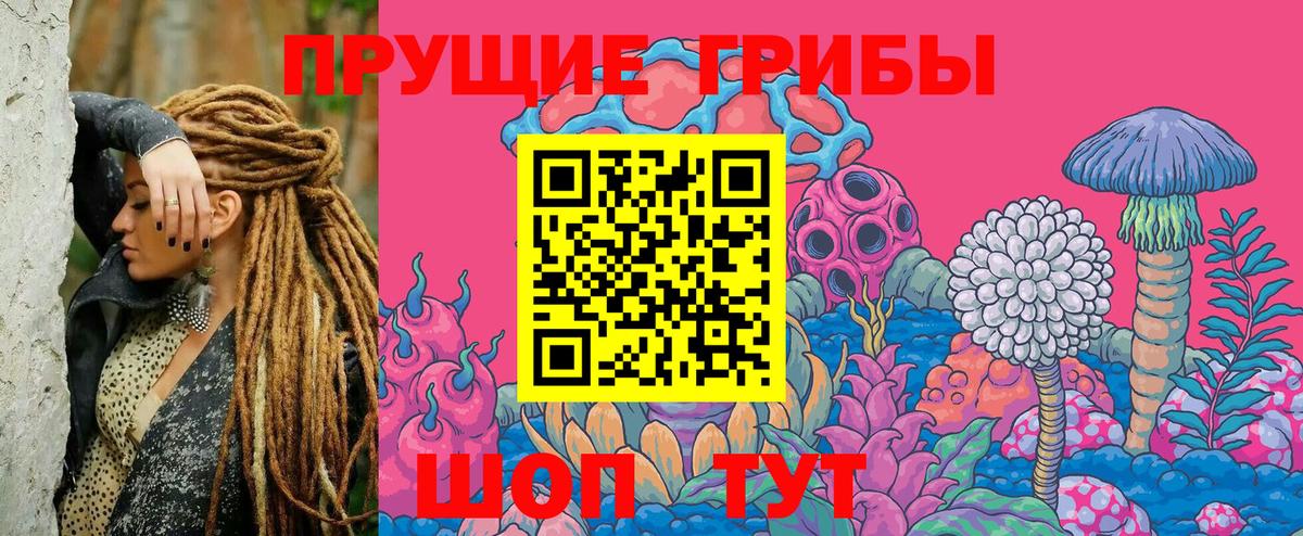 Псилоцибиновые грибы Cubensis Дмитров
